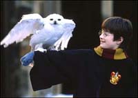 harry-potter.jpg