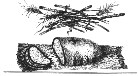 img13.gif