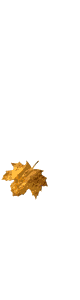 leaf-02.gif