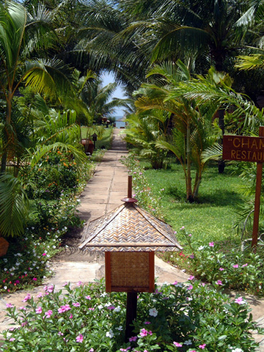 pathway.jpg