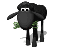 sheep_eating_grass_md_wht.gif